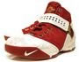 Lebron James Shoes: Nike Lebron V (5) Picture 1